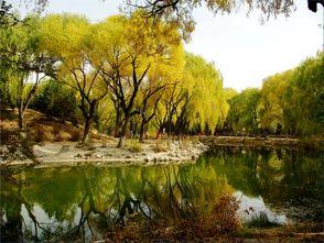 满都海公园爆料最新消息,最新爆料揭示惊人真相